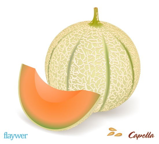 Cantaloupe