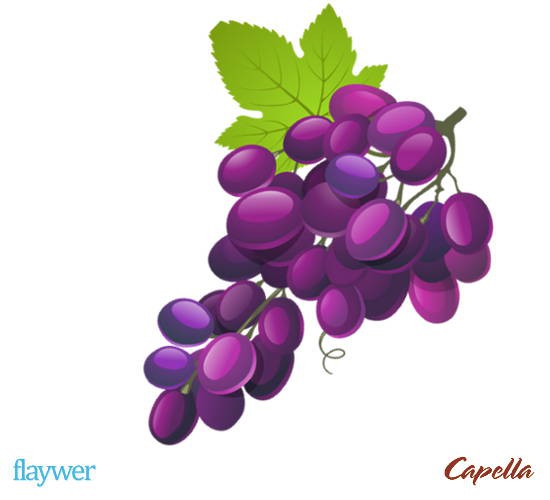 Concord Grape (Stevia)
