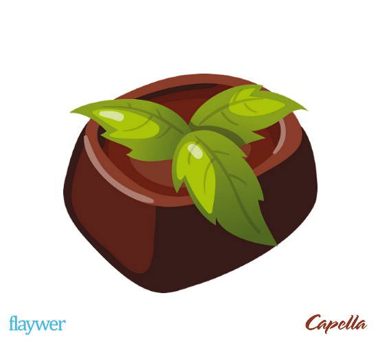 Dutch Chocolate Mint