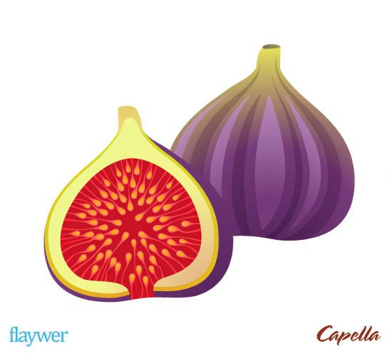Fig (Feige)