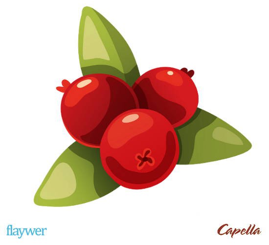Cranberry