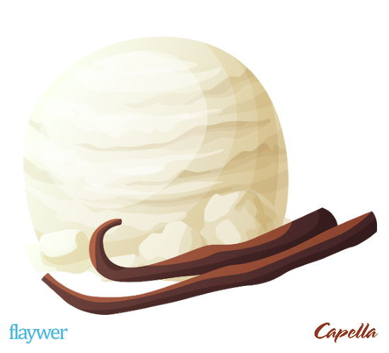 Vanilla Bean Ice Cream